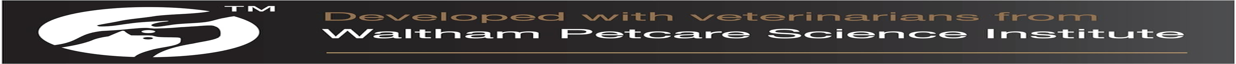 Chicken and Rice Wet Puppy Food, 12 Cans, Medium